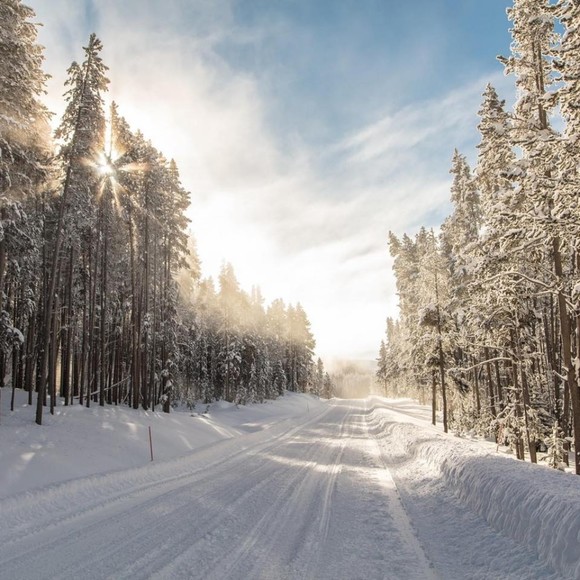 Meet your Posher, Posh - Picture 1 of 1